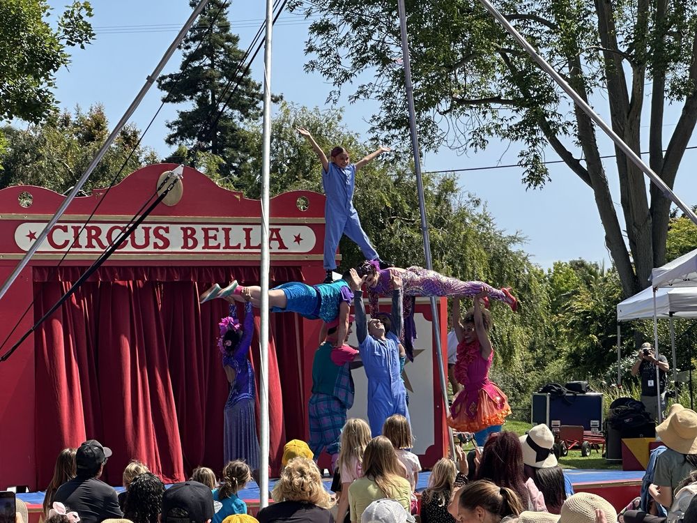 Circus Bella's AH HA! 3